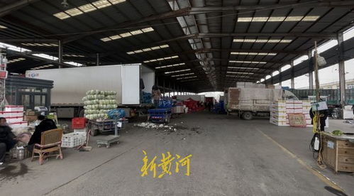 山東匡山農產(chǎn)品交易市場解封 記者探訪 市場防疫保供兩不誤 蔬菜價格穩(wěn)中有降