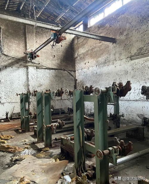 中國紡織業的明珠隕落 丹陽棉紡廠的興衰與轉型啟示